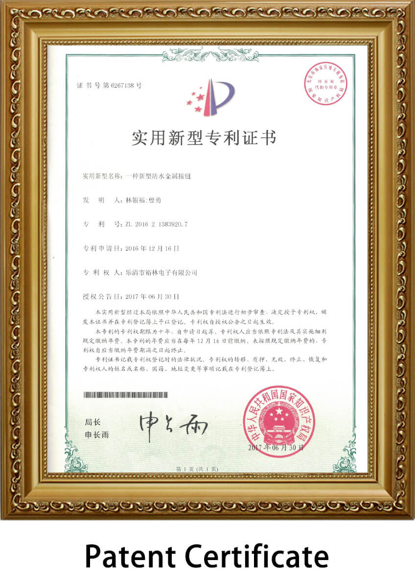 push-switch-patent-certificate9