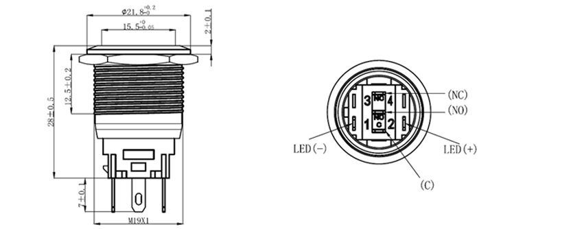 19mm 버튼 드로잉