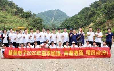 FILN Company Team Building Activities Summary