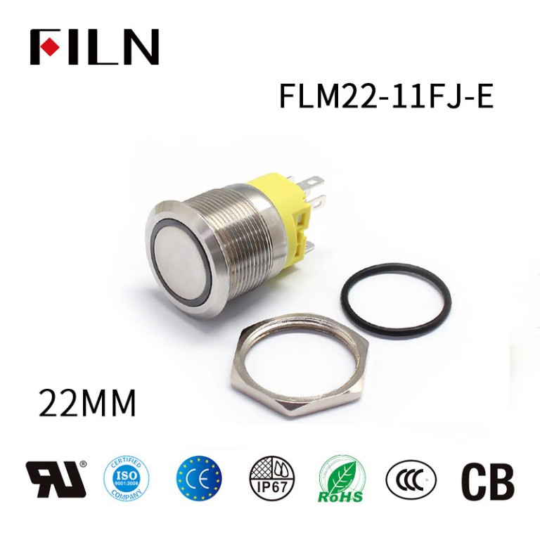 22MM 12V LED Push Button Switch With Ring Light
