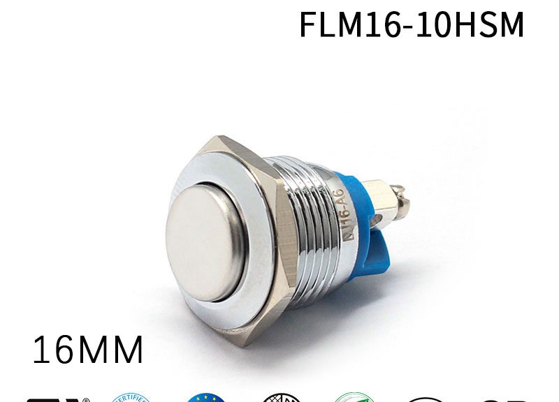 maintained push button switch
