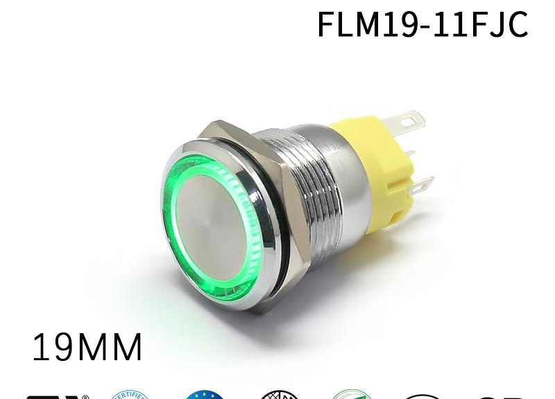 12 Volt Momentary Push Button Switch 19MM High Gloss Button