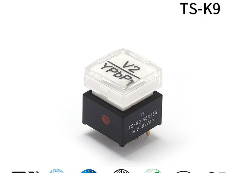 Luminous Switch Audio Video Console Button Switch With Light LED Tact Switch 5A