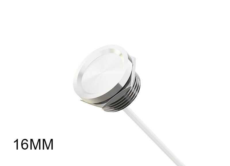 16MM FILN Capacitive Switches High-Performance, Waterproof, and Customizable Solutions for Modern Devices Waterproof piezo switches